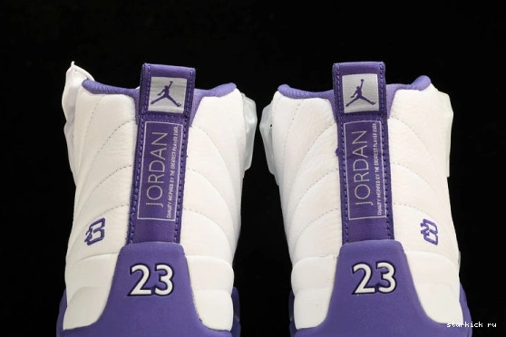Purple Retro Jordan 12 CT8013-150 CT8013-150 0108